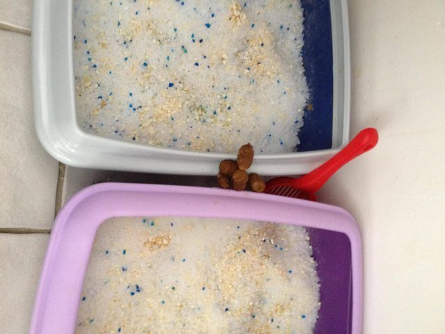 Lihat Tingkah Absurdnya